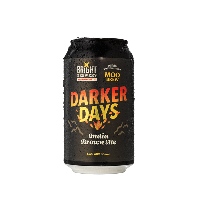 Darker Days Brown Ale